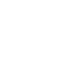 Carbon Footprint logo