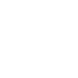 Dassault logo