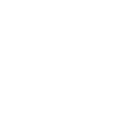 International Expeditions logo